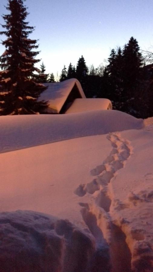 Chalet Camomille Ле-Же Екстер'єр фото